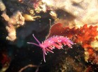 I colori delle grotte I colori delle grotte