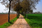 Path Path