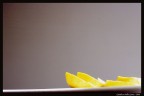Lemon Lemon