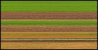 linee agricole linee agricole