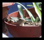 ...non mi ha visto...