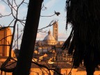 Tramonto a Siena Tramonto a Siena
