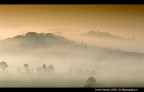 Morning Fog Morning Fog