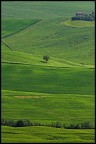 val d'orcia