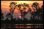 Tramonto all'oasi Tramonto all'oasi