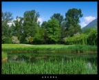 il parco di Ascona il parco di Ascona
