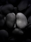 Strange Fruits Strange Fruits