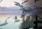 il filo dei sogni 2 il filo dei sogni 2