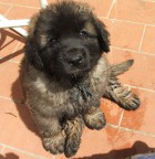 mi passi l'asciugamano?