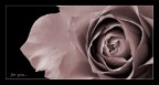 for you... for you...