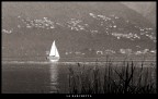 la barca la barca