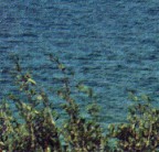 Come vedi c'� molto sporco dovuto in parte anche all'unsharp mask, ma � un rumore molto confuso con le stesse increspature dell'acqua.