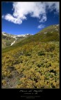 Passo di Rabbi Passo di Rabbi