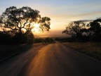 Africa Africa