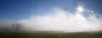 nebbia nebbia