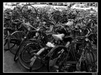 Biciclette a Venezia Biciclette a Venezia
