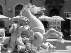 NAVONA NAVONA