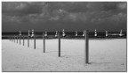 Spiaggia Spiaggia
