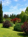I COLORI DELLA NATURA I COLORI DELLA NATURA