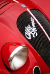 Passion in red Passion in red