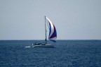 Vela Vela