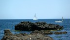 Vela che passione!!! Vela che passione!!!