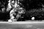 Movimento Movimento