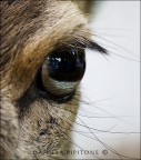 Nel suo sguardo Nel suo sguardo