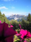 ...Da 1800 mt. ...Da 1800 mt.
