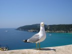Sguardo Sguardo