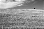 Solitudine Solitudine