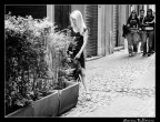 La bionda e le more La bionda e le more
