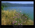 Lago Castel Gandolfo!