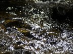Acqua... Acqua...