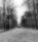 passi nella nebbia...