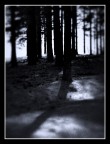 Attento a chi incontri nel regno delle fate... Attento a chi incontri nel regno delle fate...
