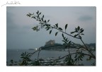 Quel ramo sul porto di Baia... Quel ramo sul porto di Baia...