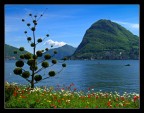 il mio paradiso il mio paradiso
