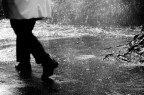 La solitudine La solitudine
