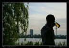 birra alla perla del lago birra alla perla del lago