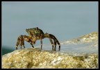 una boccata d'aria una boccata d'aria