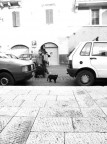 gatto nero gatto nero