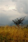 arriva il temporale arriva il temporale