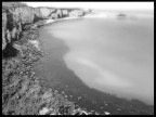 bw irish bw irish