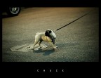 Chuck™ Chuck™