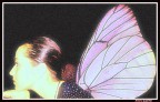 *butterfly* *butterfly*