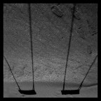 Aspettando i bambini