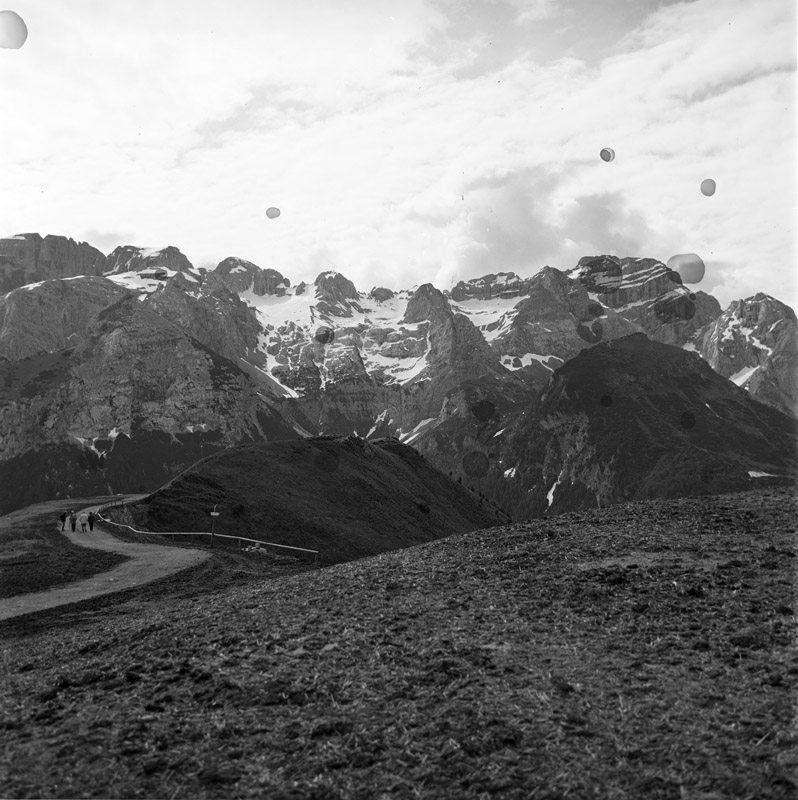 002 RolleiOrtho25.jpg