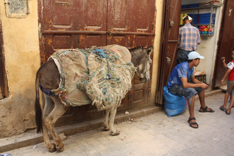 02-sett.2010 la 12-sett.2010 497.jpg