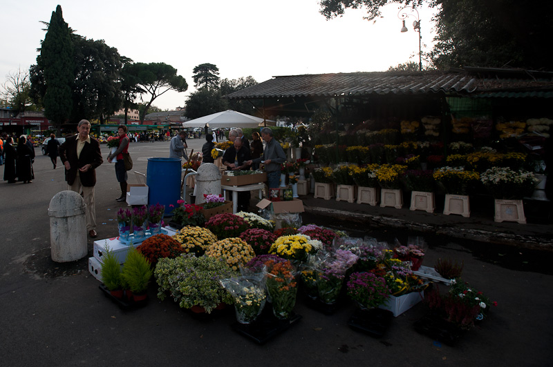 02 fiori freschi.jpg